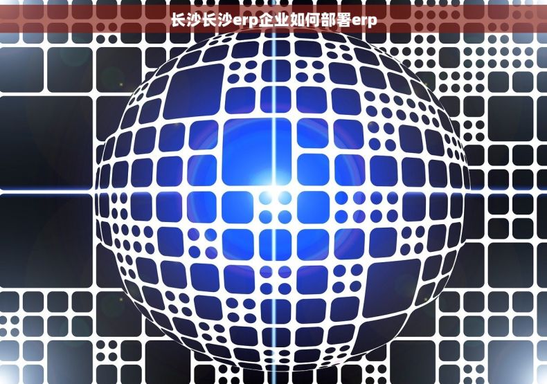 长沙长沙erp企业如何部署erp