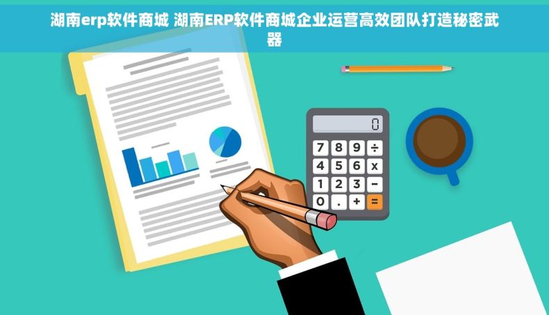 湖南erp软件商城 湖南ERP软件商城企业运营高效团队打造秘密武器