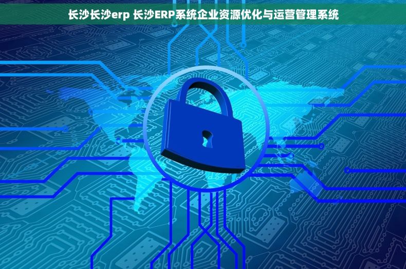 长沙长沙erp 长沙ERP系统企业资源优化与运营管理系统