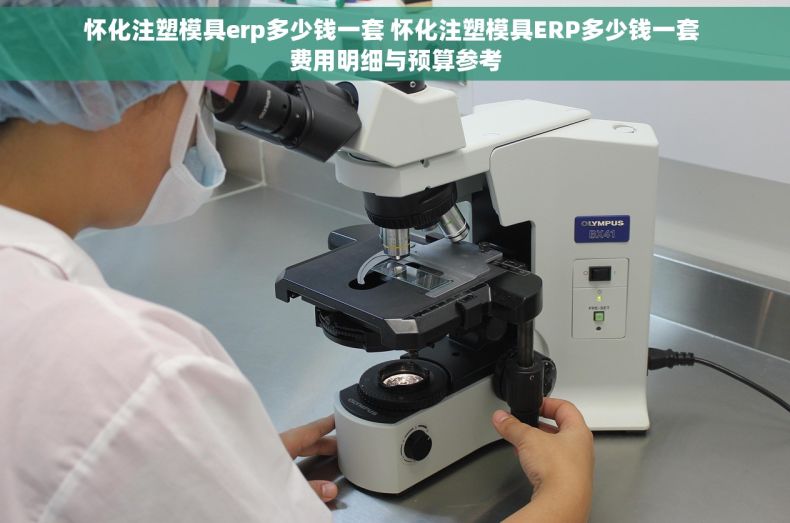 怀化注塑模具erp多少钱一套 怀化注塑模具ERP多少钱一套 费用明细与预算参考