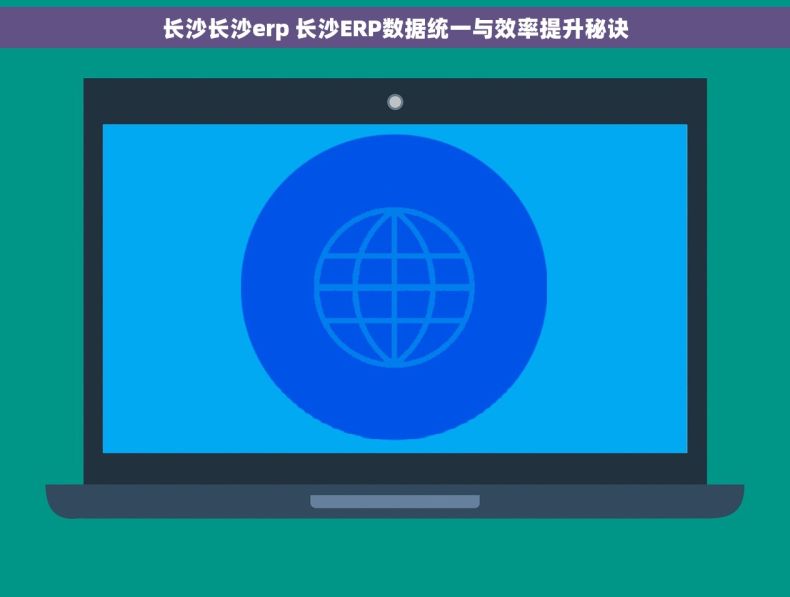 长沙长沙erp 长沙ERP数据统一与效率提升秘诀