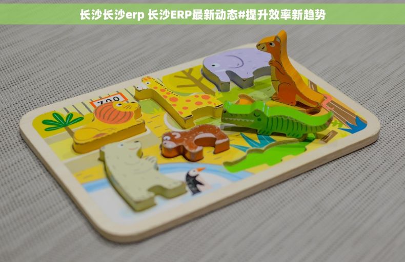 长沙长沙erp 长沙ERP最新动态#提升效率新趋势