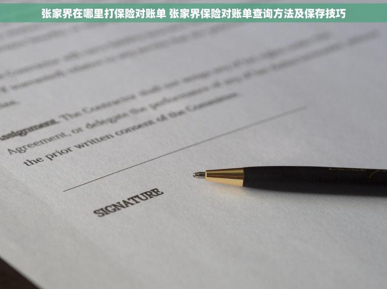 张家界在哪里打保险对账单 张家界保险对账单查询方法及保存技巧