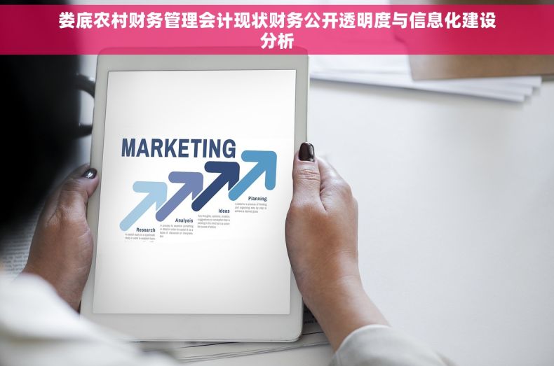 娄底农村财务管理会计现状财务公开透明度与信息化建设分析