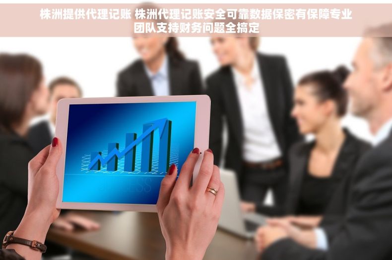 株洲提供代理记账 株洲代理记账安全可靠数据保密有保障专业团队支持财务问题全搞定