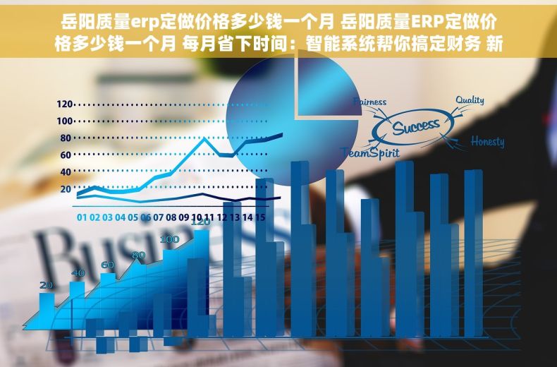 岳阳质量erp定做价格多少钱一个月 岳阳质量ERP定做价格多少钱一个月 每月省下时间：智能系统帮你搞定财务 新手老板的救星：简单易用的管理工具