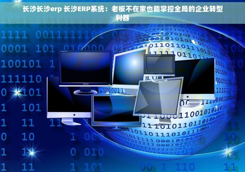 长沙长沙erp 长沙ERP系统：老板不在家也能掌控全局的企业转型利器