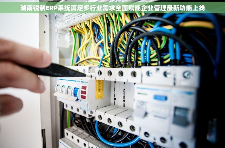 湖南锐制ERP系统满足多行业需求全面赋能企业管理最新功能上线