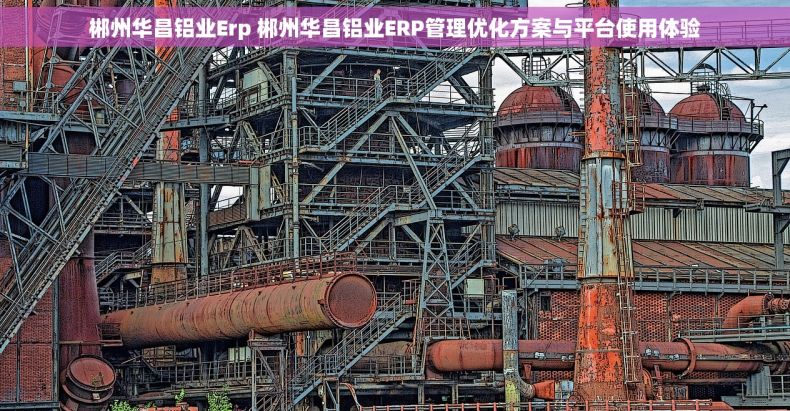 郴州华昌铝业Erp 郴州华昌铝业ERP管理优化方案与平台使用体验