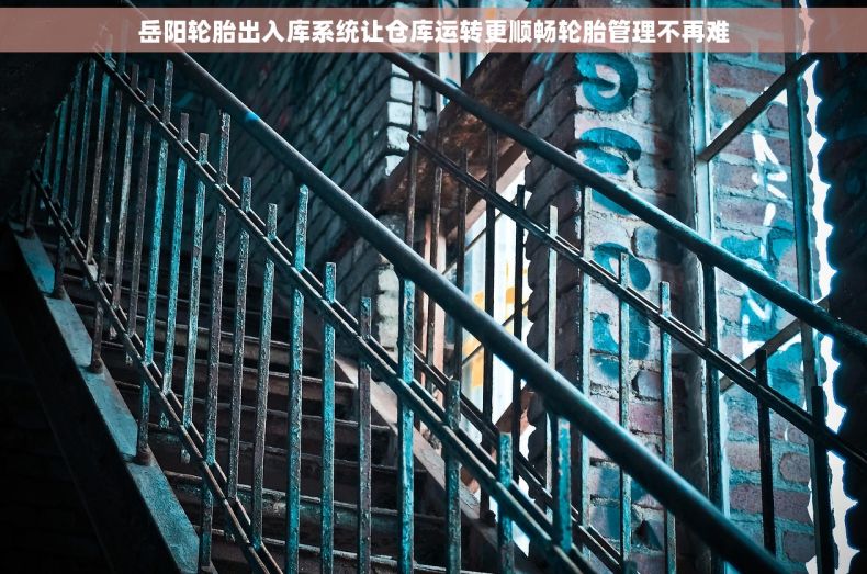 岳阳轮胎出入库系统让仓库运转更顺畅轮胎管理不再难