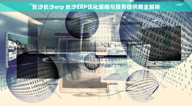 长沙长沙erp 长沙ERP优化策略与服务提供商全解析