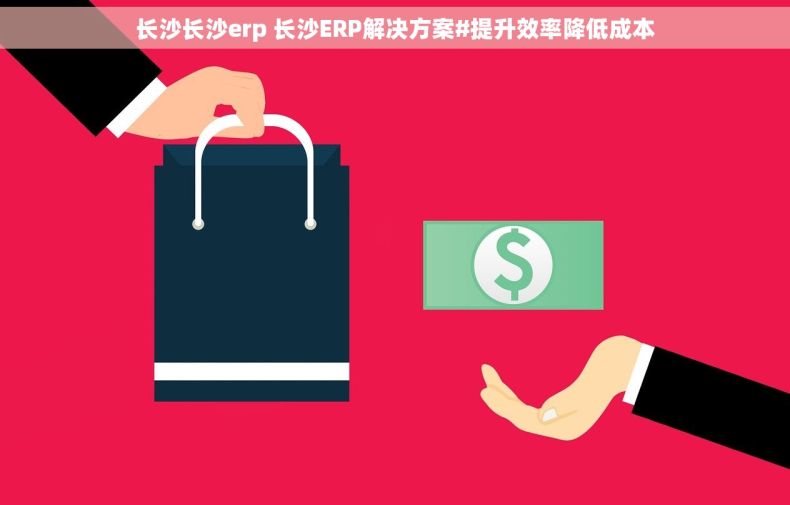 长沙长沙erp 长沙ERP解决方案#提升效率降低成本
