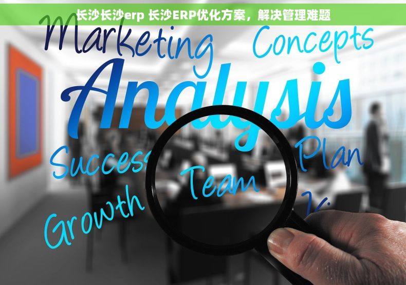 长沙长沙erp 长沙ERP优化方案，解决管理难题