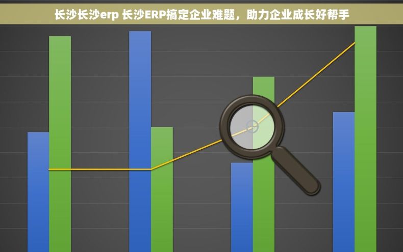 长沙长沙erp 长沙ERP搞定企业难题，助力企业成长好帮手