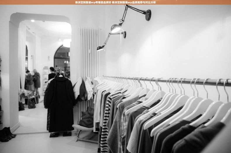 株洲定制服装erp有哪些品牌好 株洲定制服装erp品牌推荐与对比分析