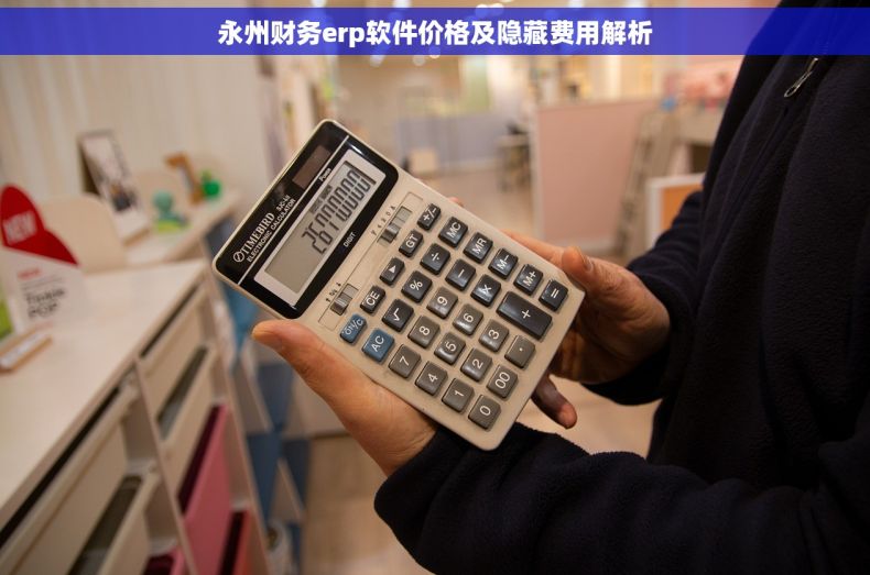 永州财务erp软件价格及隐藏费用解析