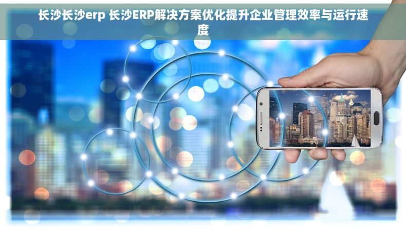 长沙长沙erp 长沙ERP解决方案优化提升企业管理效率与运行速度