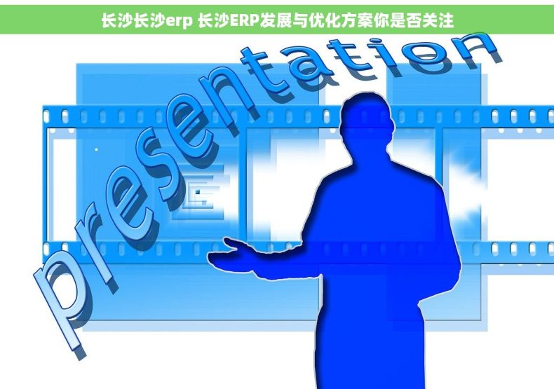 长沙长沙erp 长沙ERP发展与优化方案你是否关注