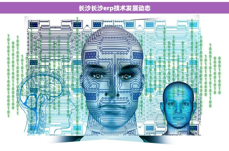 长沙长沙erp技术发展动态