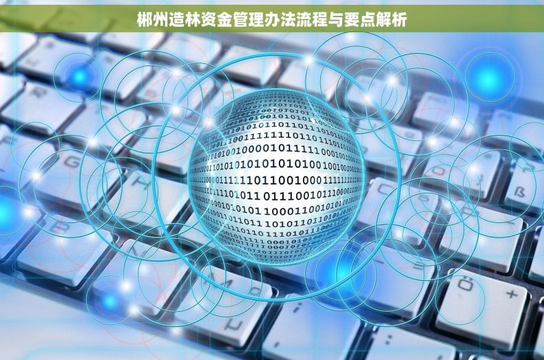 郴州造林资金管理办法流程与要点解析