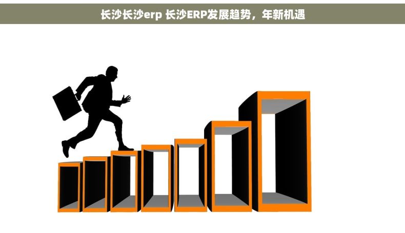 长沙长沙erp 长沙ERP发展趋势，年新机遇