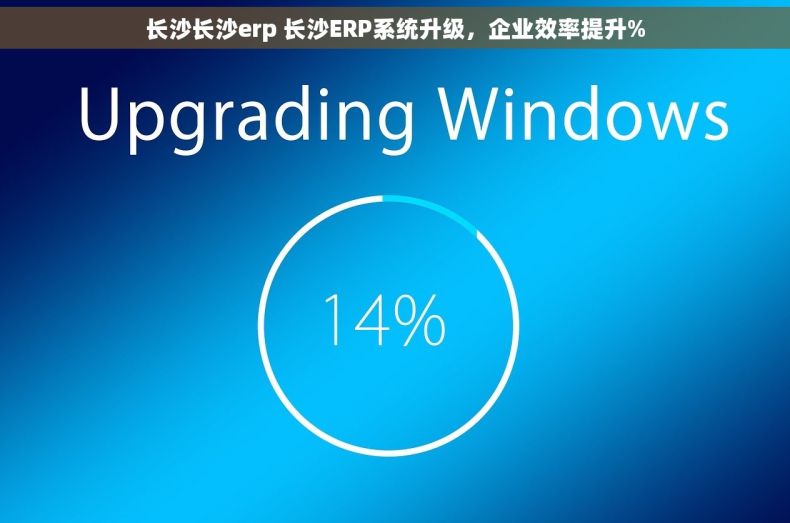 长沙长沙erp 长沙ERP系统升级，企业效率提升%