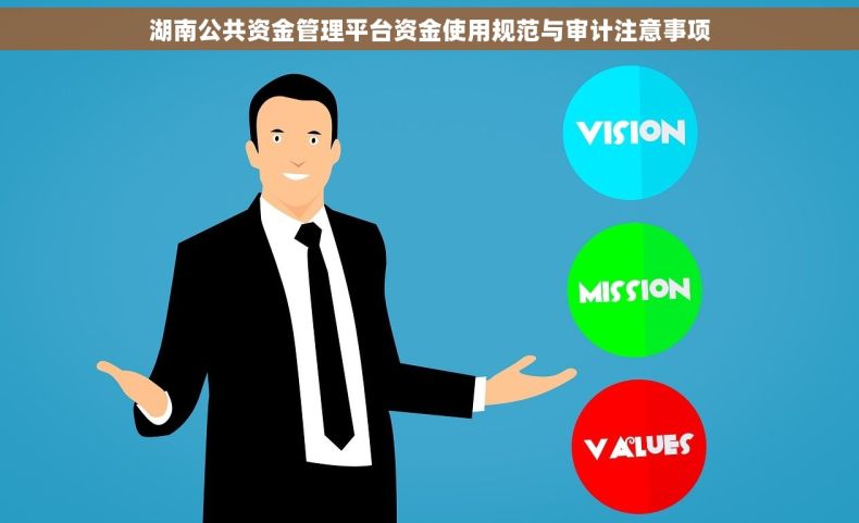 湖南公共资金管理平台资金使用规范与审计注意事项