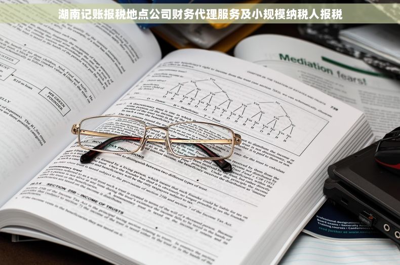 湖南记账报税地点公司财务代理服务及小规模纳税人报税
