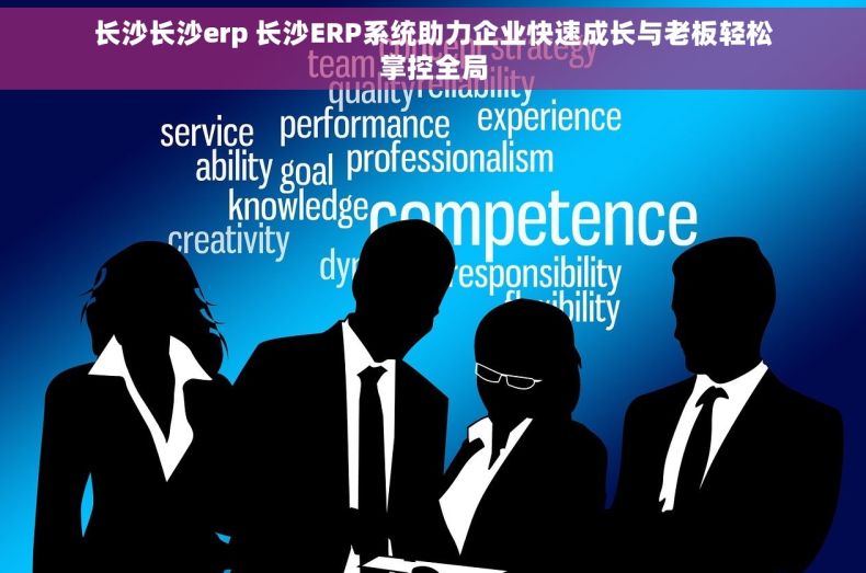 长沙长沙erp 长沙ERP系统助力企业快速成长与老板轻松掌控全局