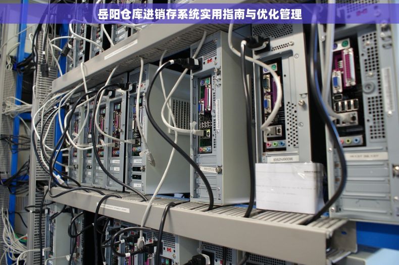 岳阳仓库进销存系统实用指南与优化管理