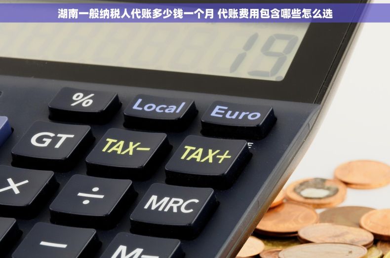 湖南一般纳税人代账多少钱一个月 代账费用包含哪些怎么选
