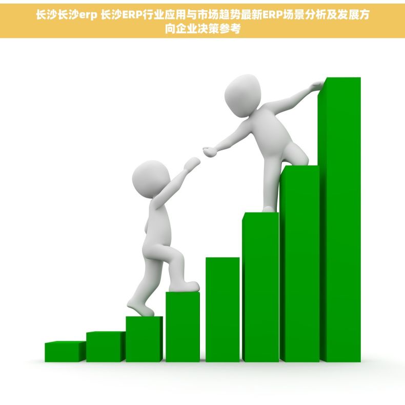 长沙长沙erp 长沙ERP行业应用与市场趋势最新ERP场景分析及发展方向企业决策参考