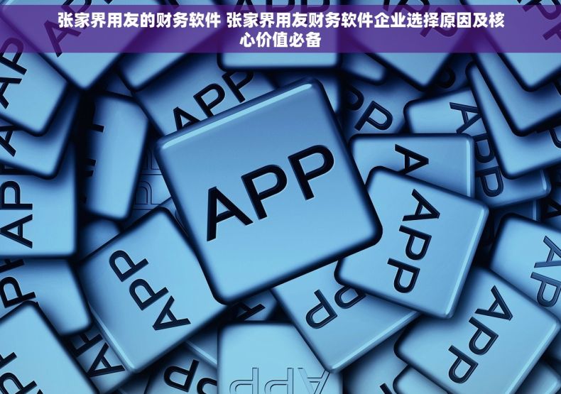 张家界用友的财务软件 张家界用友财务软件企业选择原因及核心价值必备