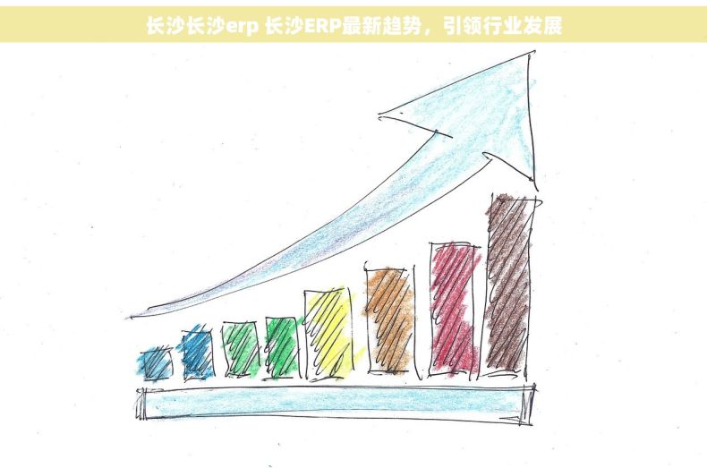长沙长沙erp 长沙ERP最新趋势，引领行业发展