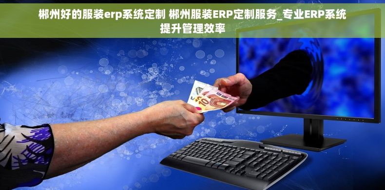 郴州好的服装erp系统定制 郴州服装ERP定制服务_专业ERP系统提升管理效率