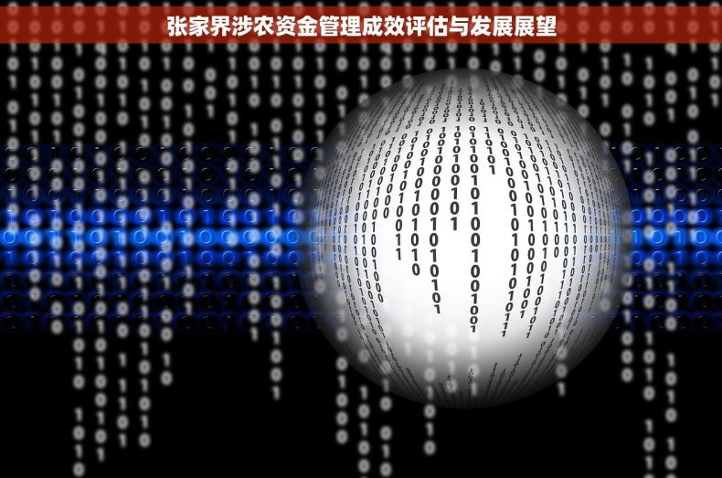 张家界涉农资金管理成效评估与发展展望