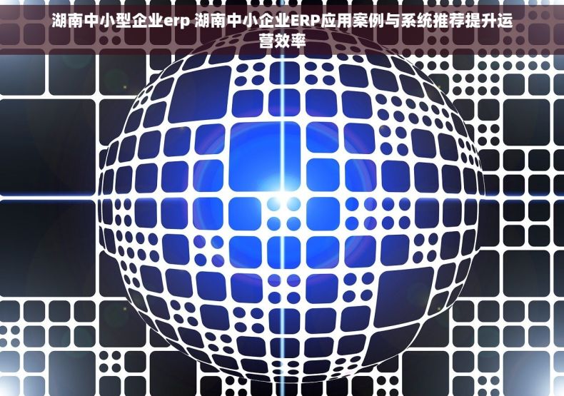 湖南中小型企业erp 湖南中小企业ERP应用案例与系统推荐提升运营效率