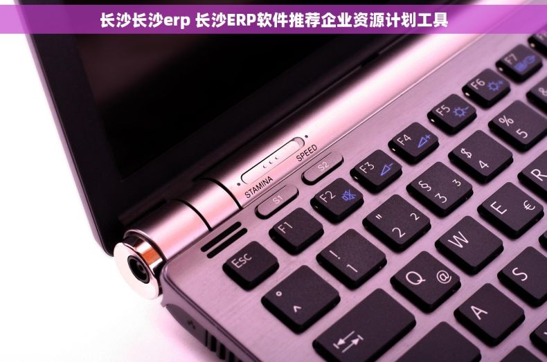 长沙长沙erp 长沙ERP软件推荐企业资源计划工具
