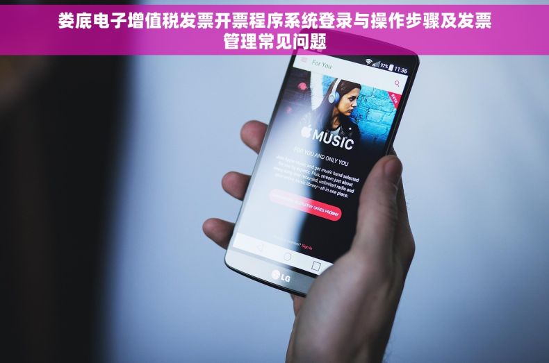 娄底电子增值税发票开票程序系统登录与操作步骤及发票管理常见问题