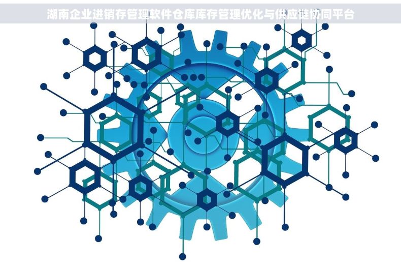 湖南企业进销存管理软件仓库库存管理优化与供应链协同平台