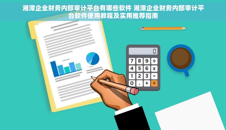 湘潭企业财务内部审计平台有哪些软件 湘潭企业财务内部审计平台软件使用教程及实用推荐指南