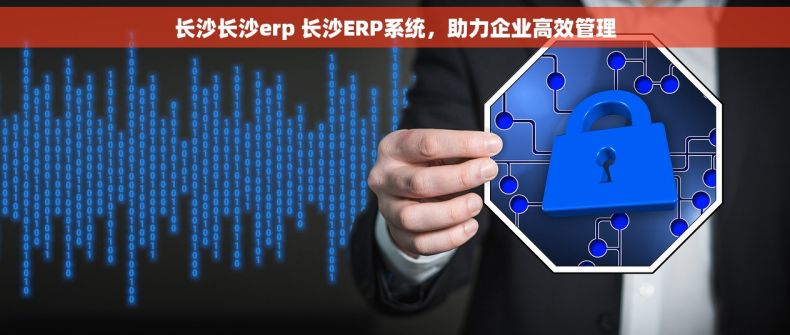 长沙长沙erp 长沙ERP系统，助力企业高效管理