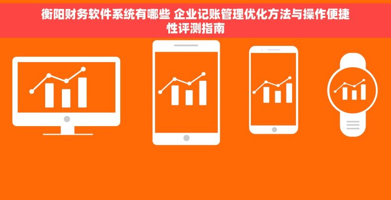 衡阳财务软件系统有哪些 企业记账管理优化方法与操作便捷性评测指南