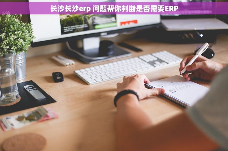 长沙长沙erp 问题帮你判断是否需要ERP