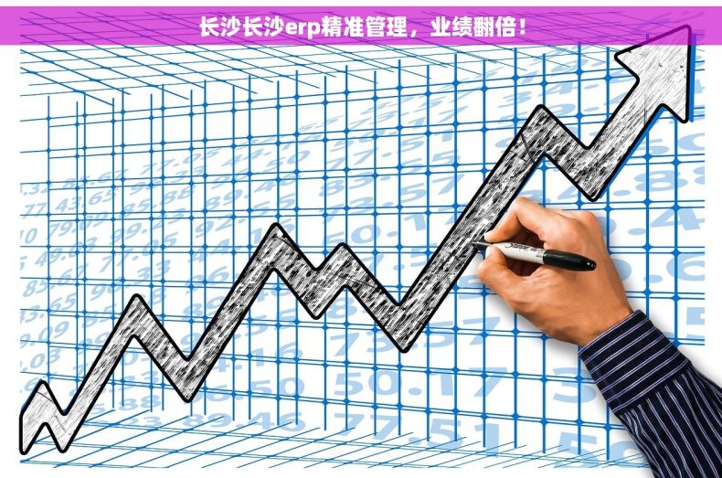 长沙长沙erp精准管理，业绩翻倍！