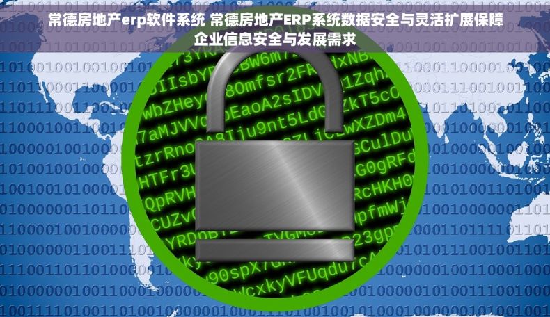 常德房地产erp软件系统 常德房地产ERP系统数据安全与灵活扩展保障企业信息安全与发展需求