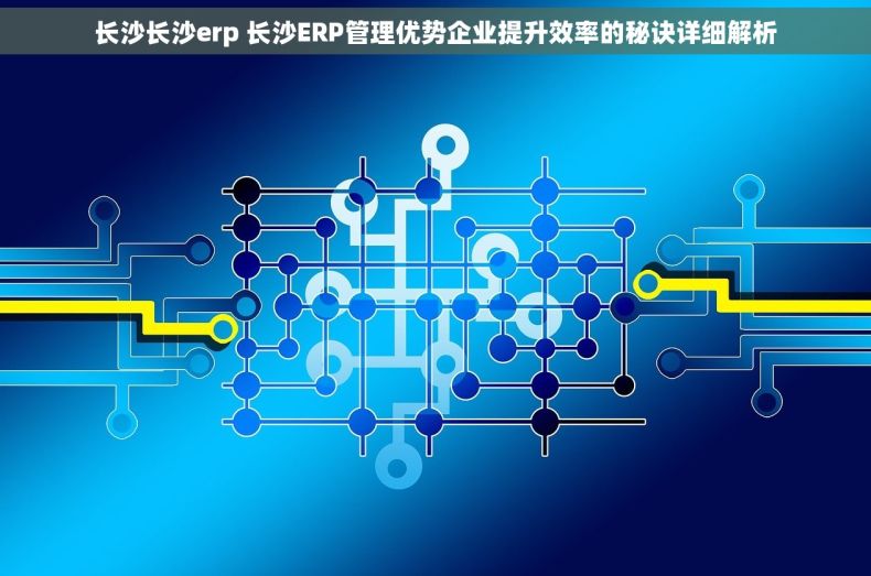 长沙长沙erp 长沙ERP管理优势企业提升效率的秘诀详细解析