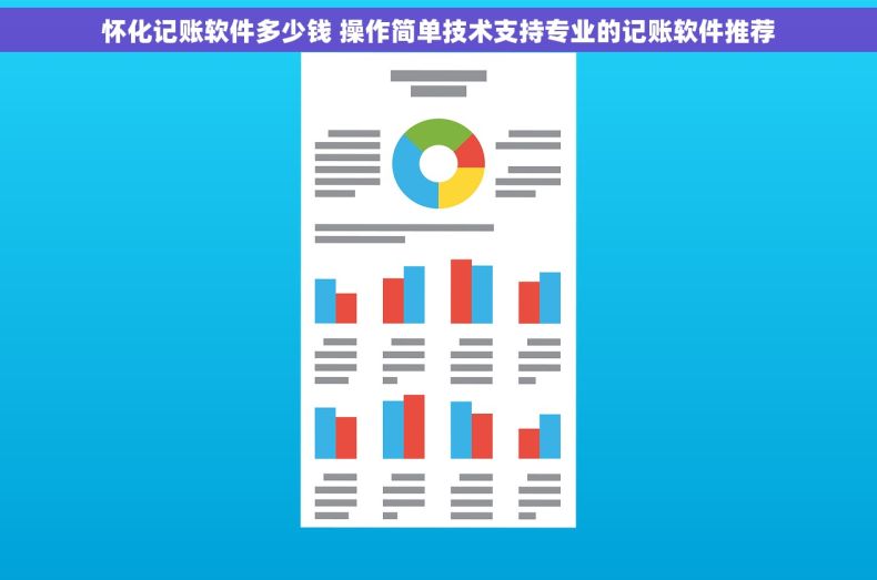 怀化记账软件多少钱 操作简单技术支持专业的记账软件推荐