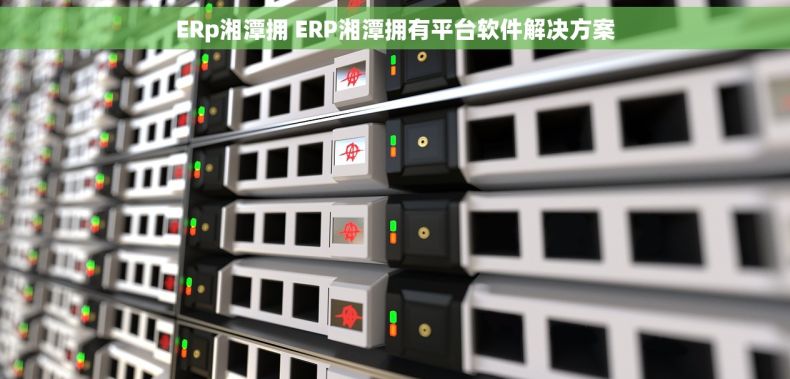 ERp湘潭拥 ERP湘潭拥有平台软件解决方案
