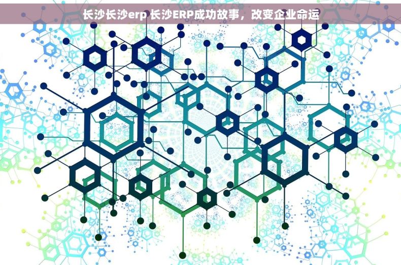 长沙长沙erp 长沙ERP成功故事，改变企业命运